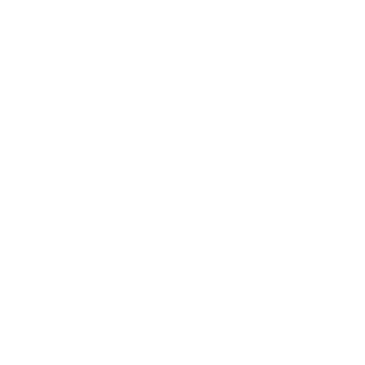 Scooter1