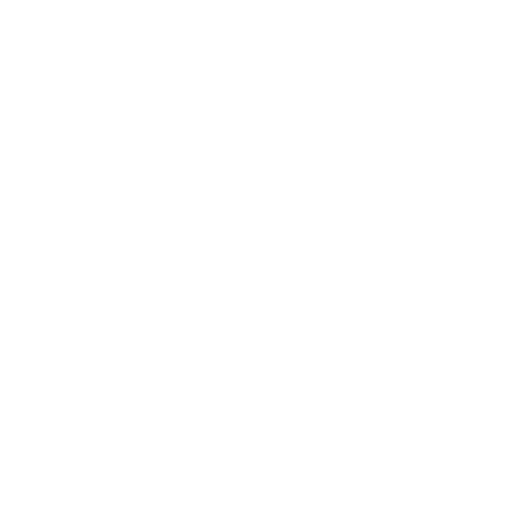 Vehicle key
